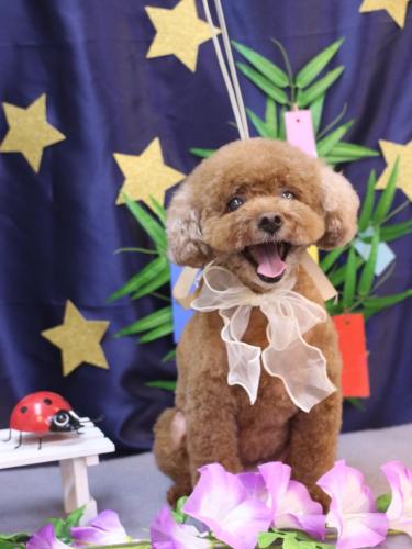 20230701フーちゃん